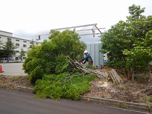 神山緑地の職人