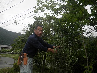 神山緑地の職人