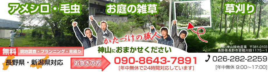 アメシロ・毛虫の害虫で困った。庭木の害虫駆除対策・退治の専門 神山緑地産業（長野県長野市）です。費用・料金・見積りは無料お問い合わせ