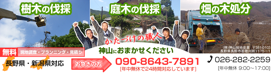 樹木の伐採 < 庭木 竹林 大木 植木など | 神山緑地産業（長野市）